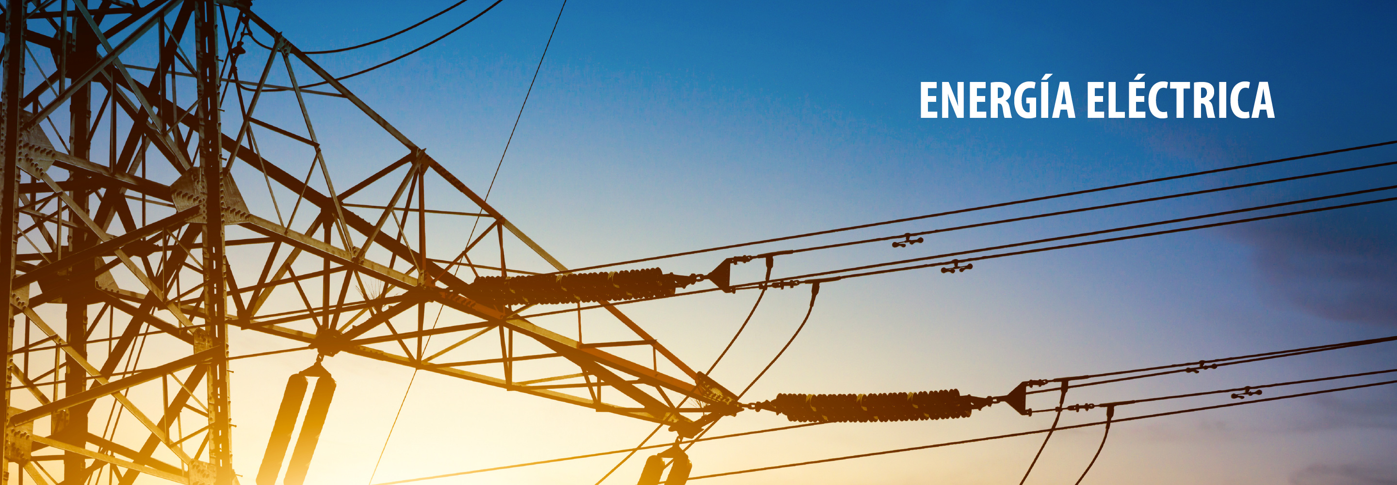 ENERGIA ELECTRICA