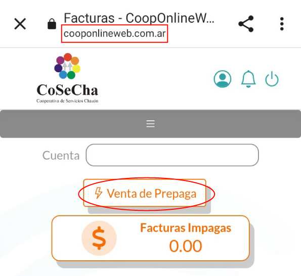 FOTO WEB